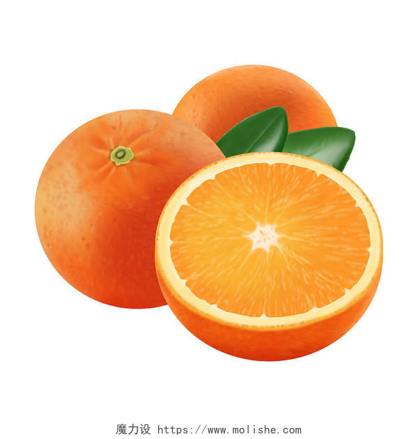 新鲜水果橙子手绘写实风格PNG素材橙子写实水果